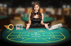 bee casino