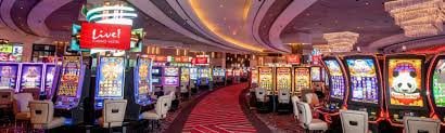 bee casino